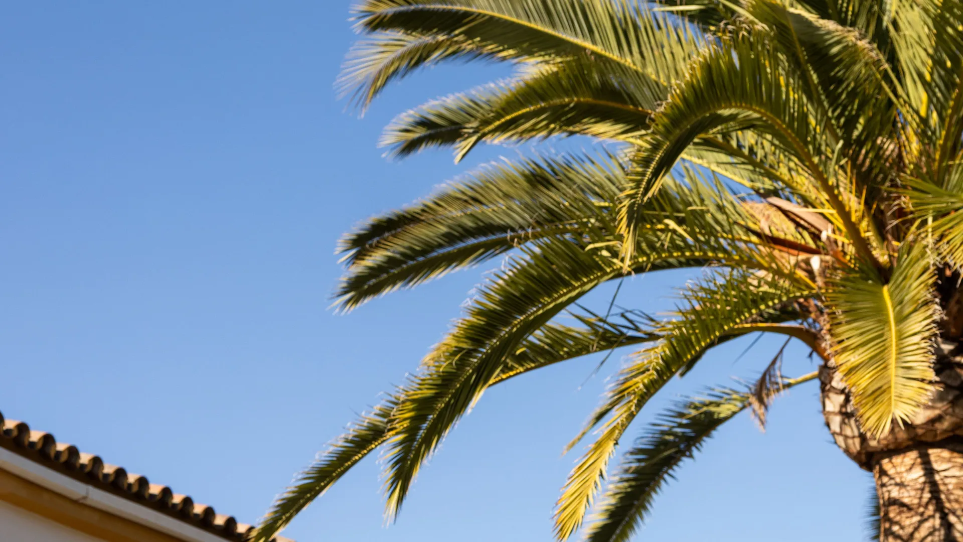 5 bedrooms villa for sale in Coin Centro