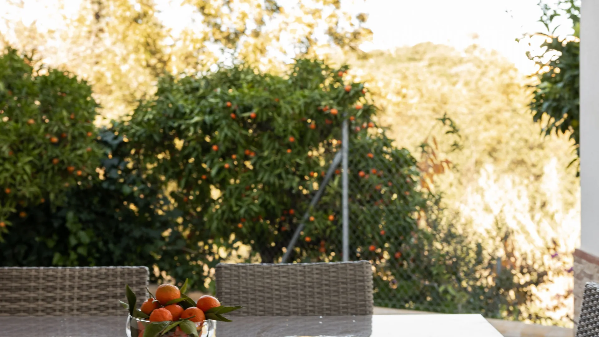 5 bedrooms villa for sale in Coin Centro