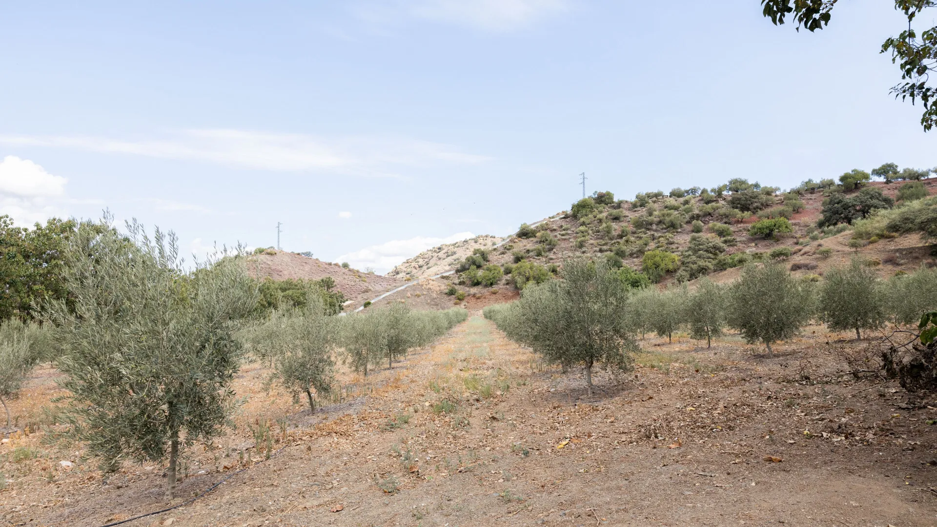 For sale cortijo with 9 bedrooms in Malaga