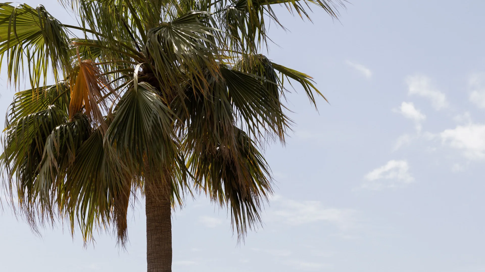 Villa in Buena Vista for sale