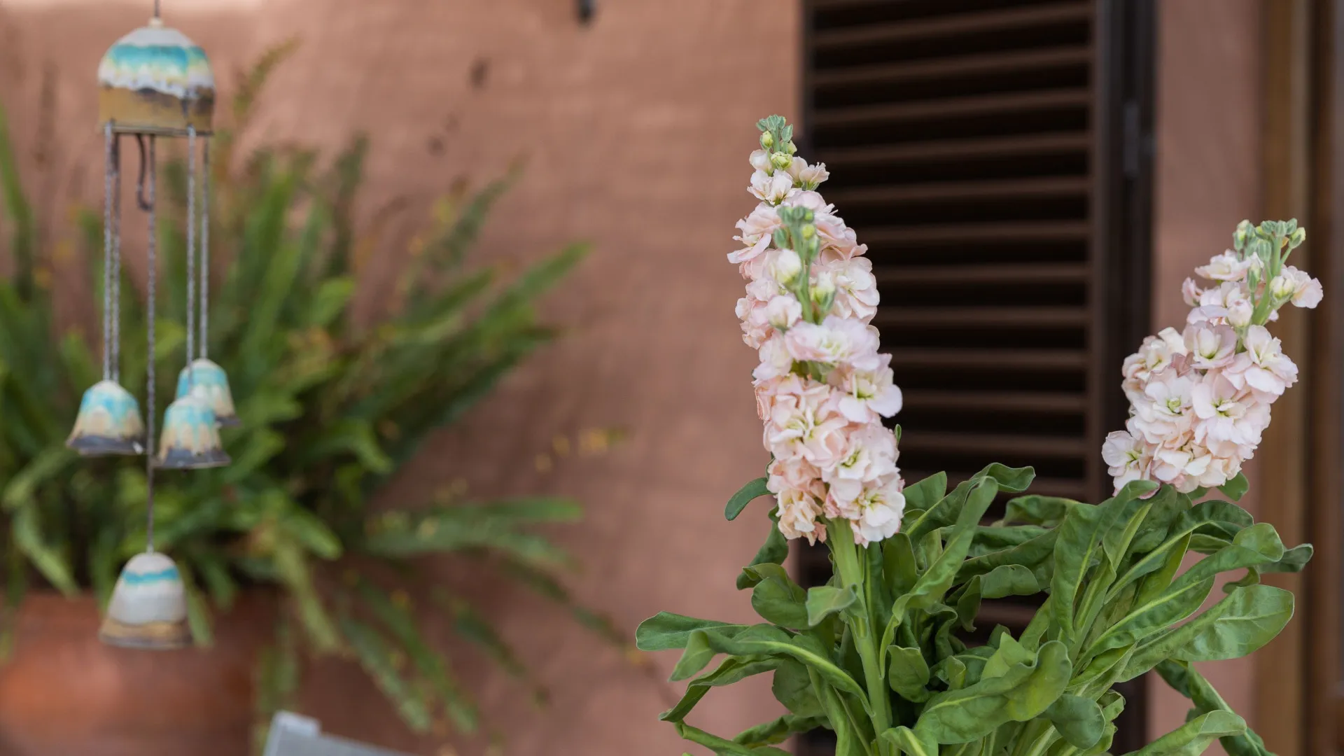 Villa in Buena Vista for sale