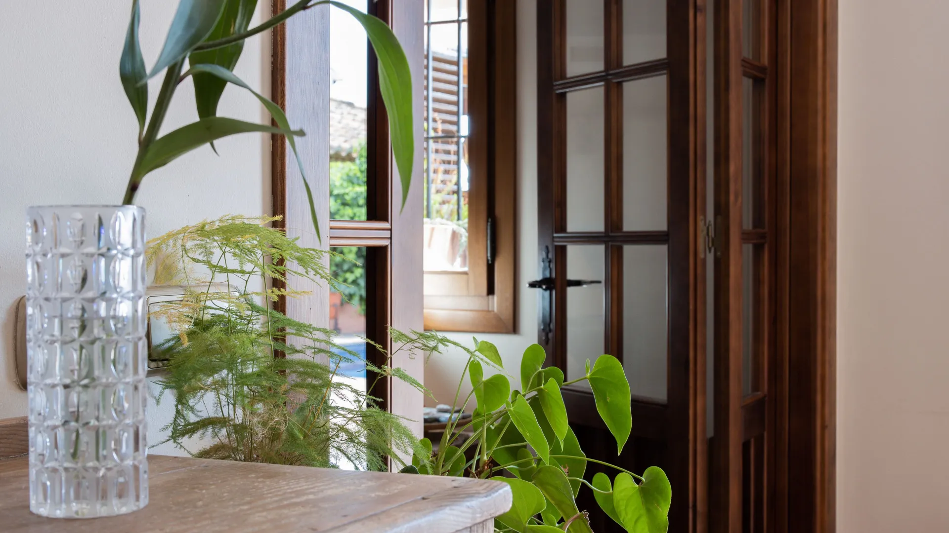 Villa in Buena Vista for sale