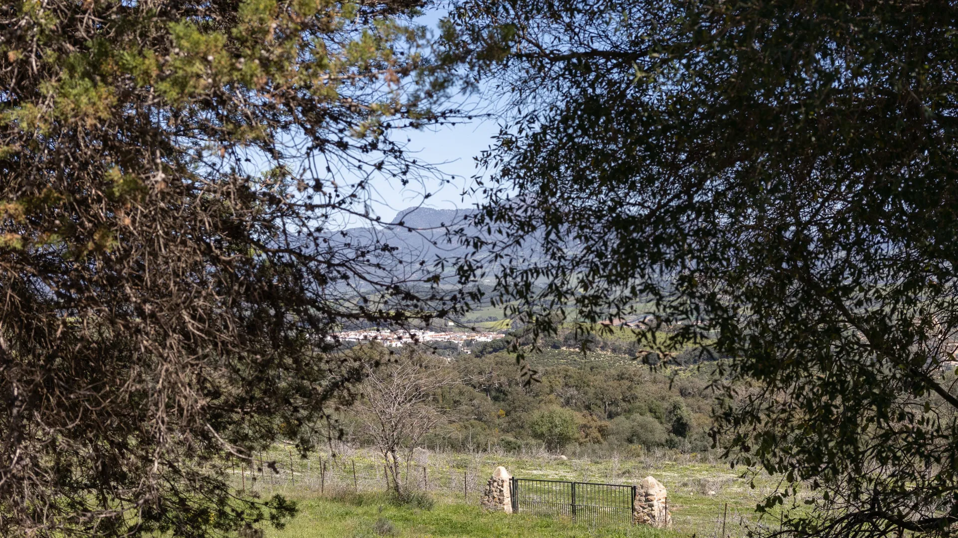 Finca for sale in Jimena de La Frontera