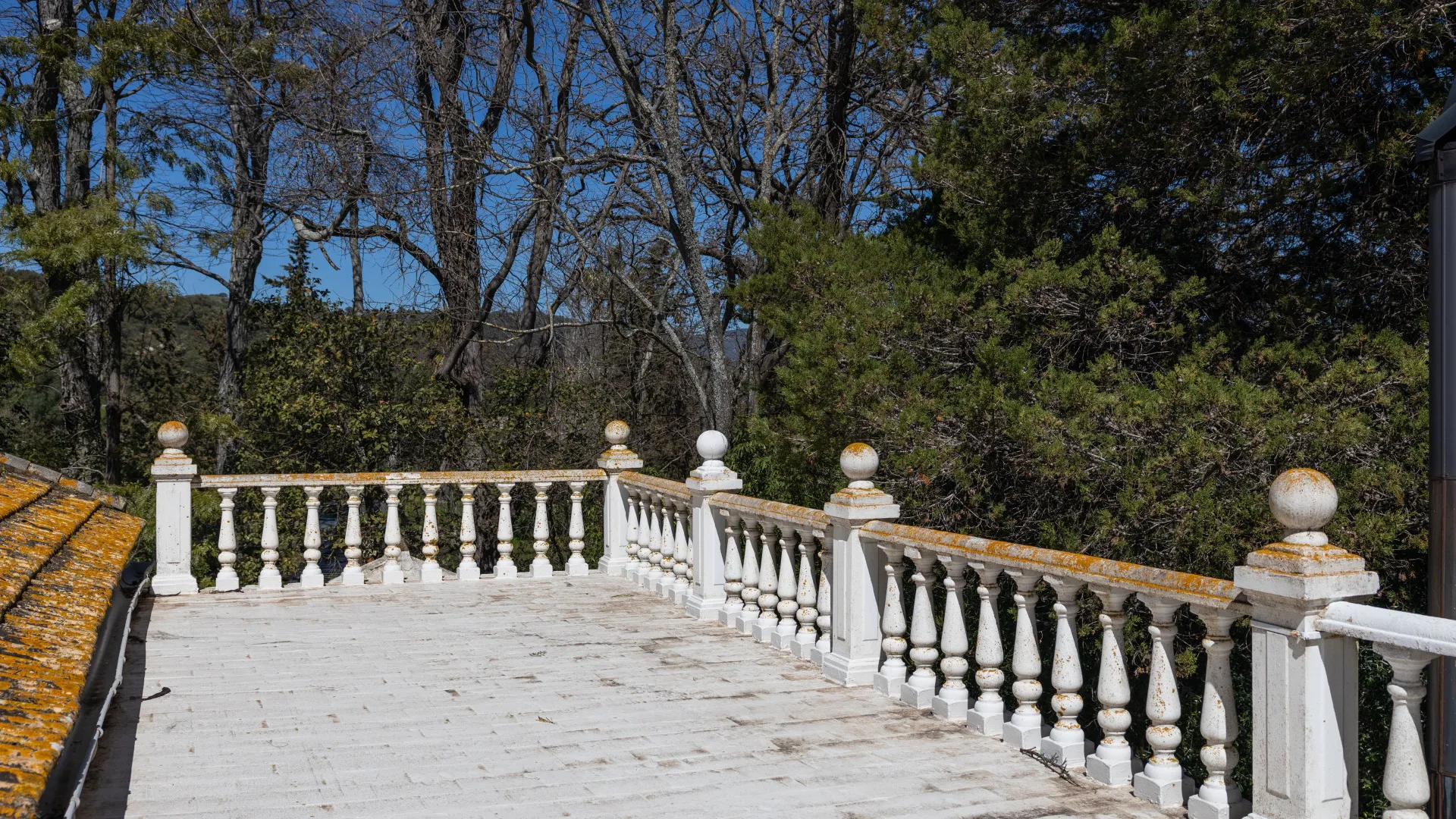 Finca for sale in Jimena de La Frontera