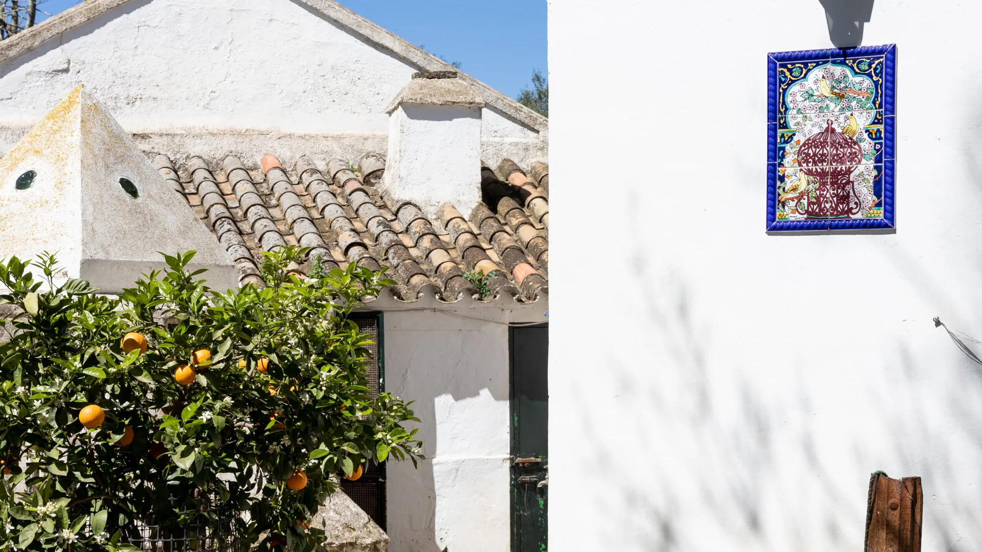 Finca for sale in Jimena de La Frontera