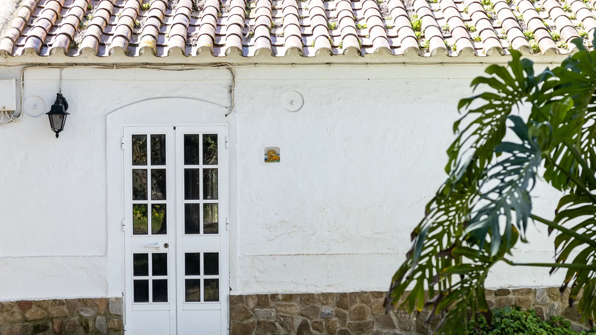 Finca for sale in Jimena de La Frontera