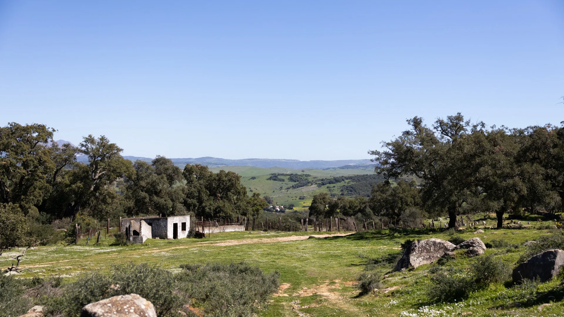 Finca for sale in Jimena de La Frontera