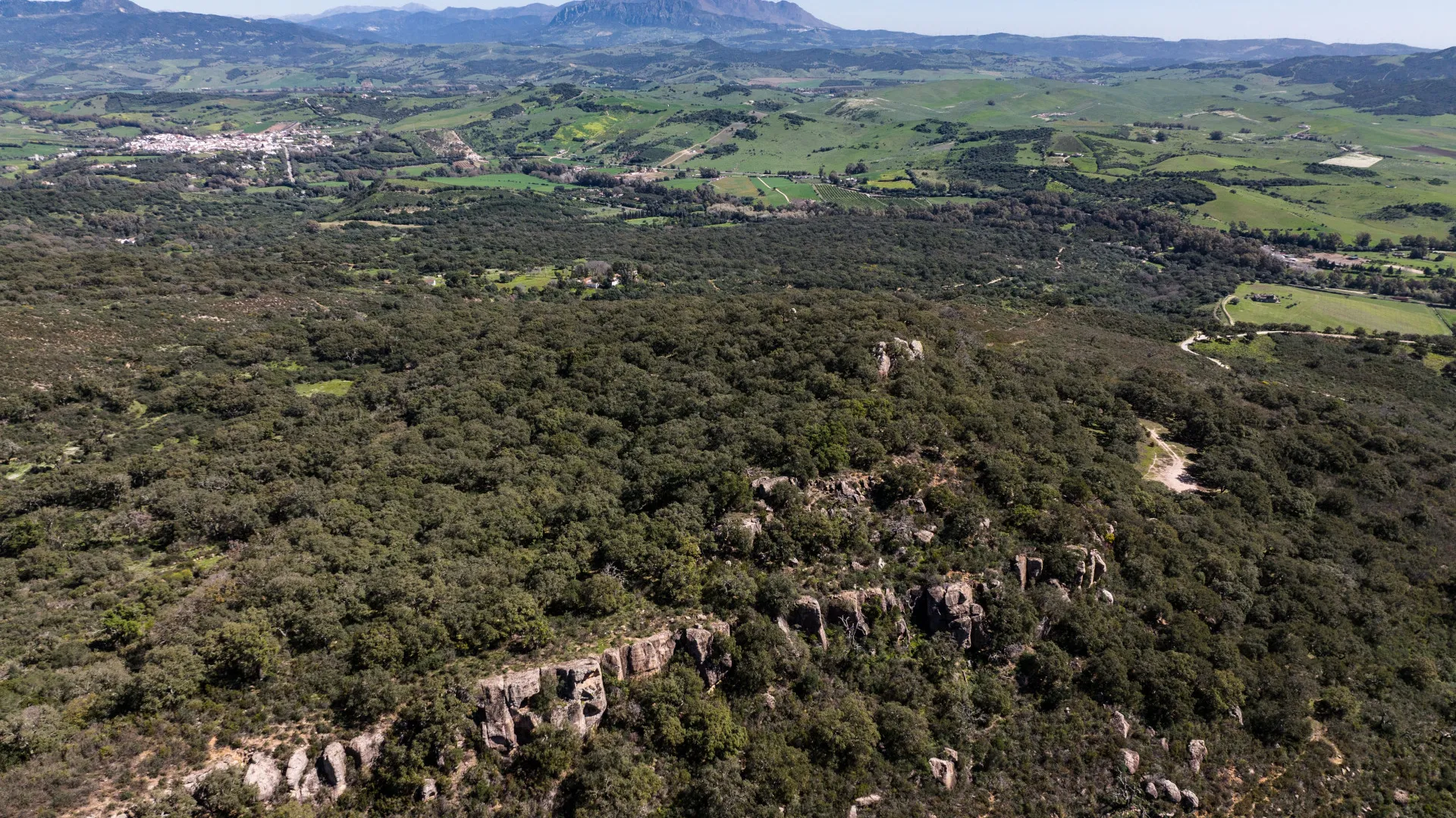 Finca for sale in Jimena de La Frontera