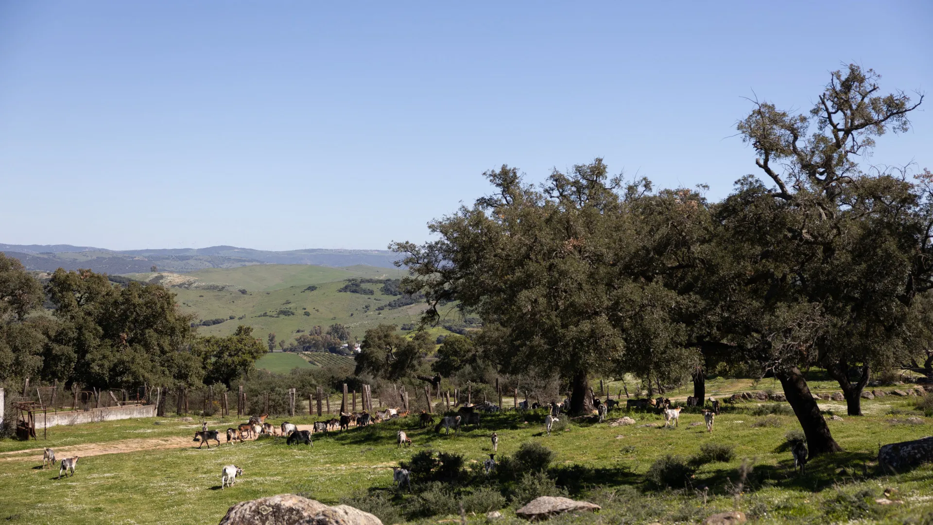 Finca for sale in Jimena de La Frontera