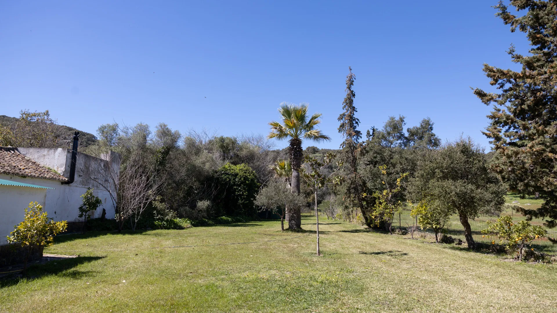 Finca for sale in Jimena de La Frontera