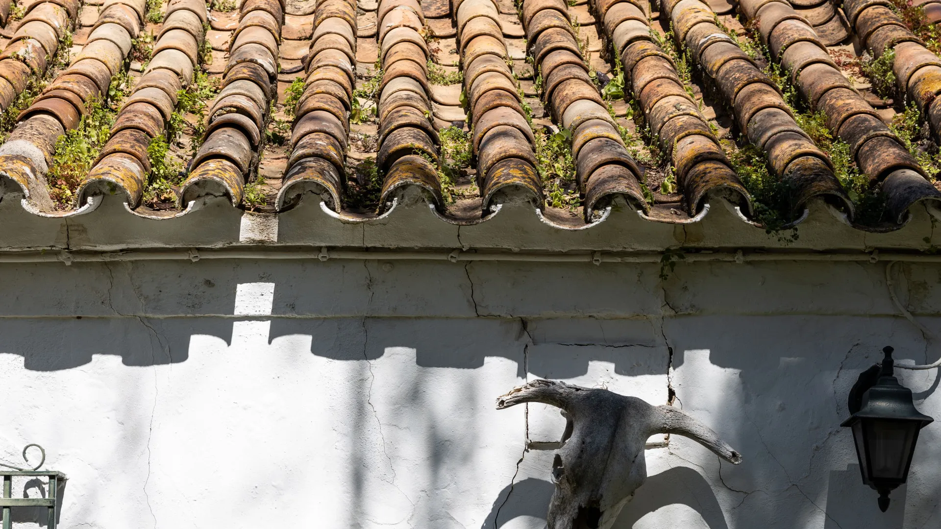 Finca for sale in Jimena de La Frontera
