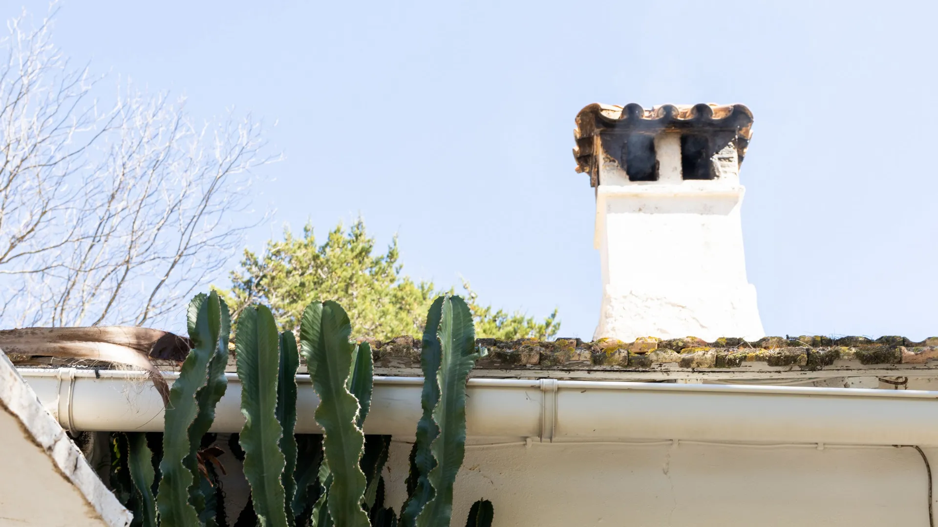 Finca for sale in Jimena de La Frontera