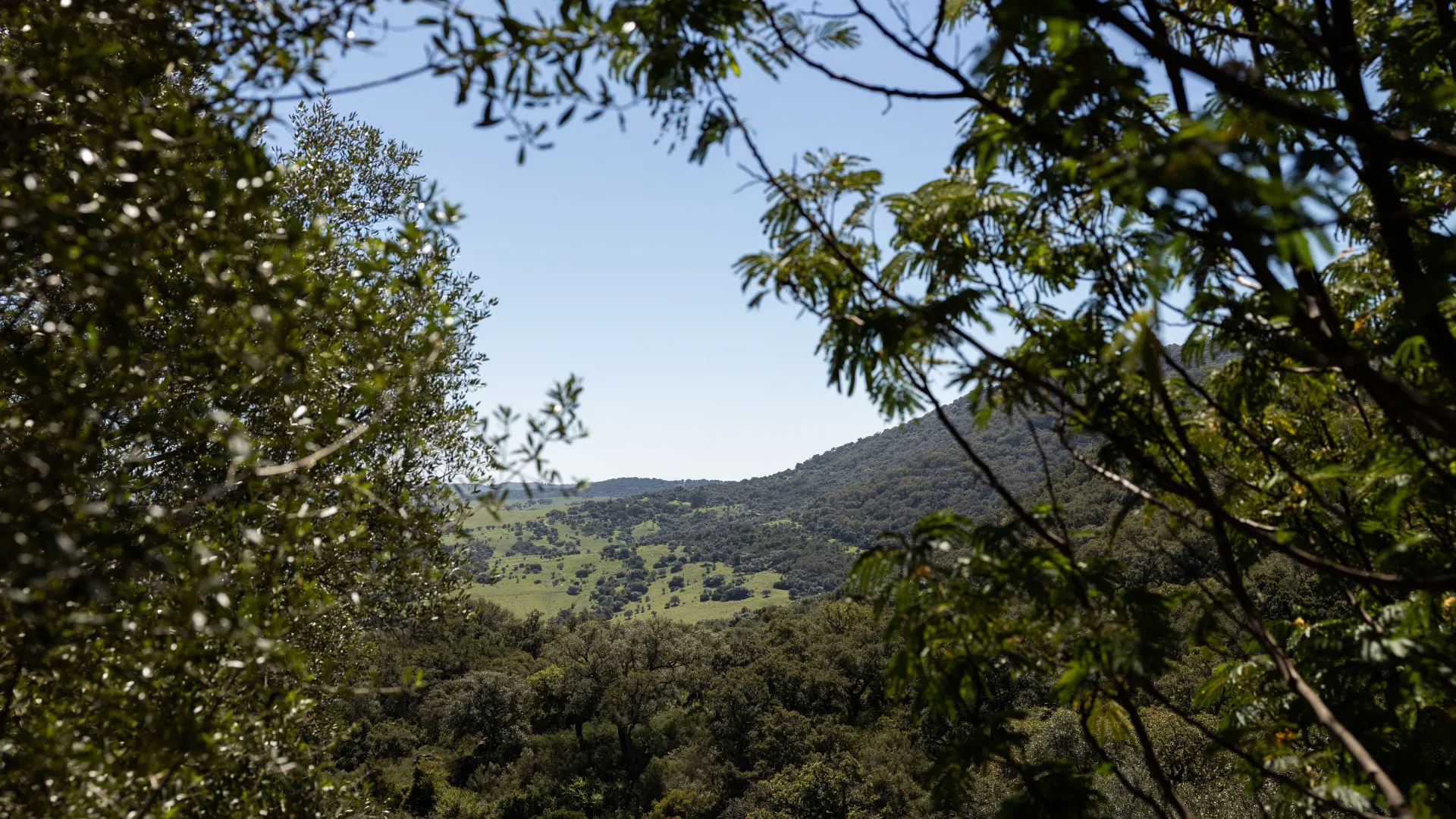 Finca for sale in Jimena de La Frontera