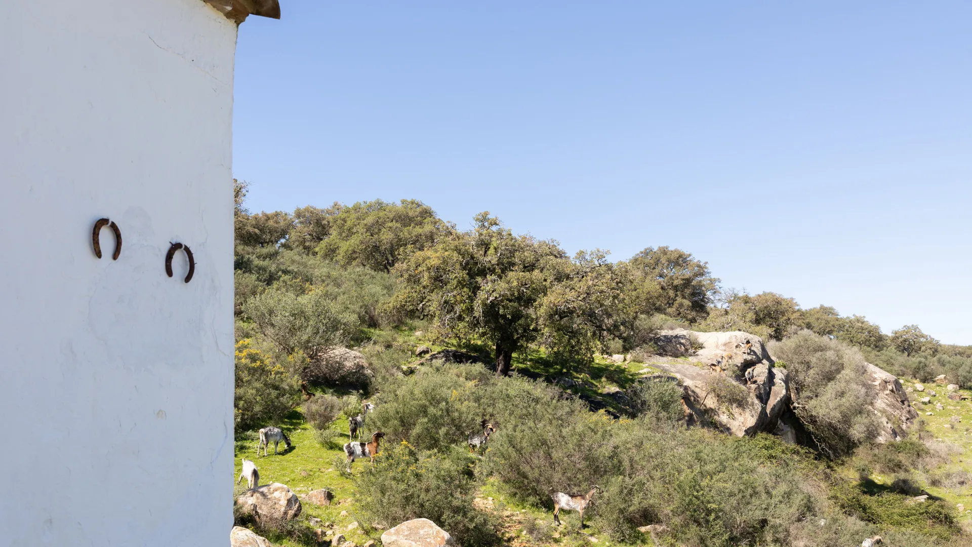 Finca for sale in Jimena de La Frontera