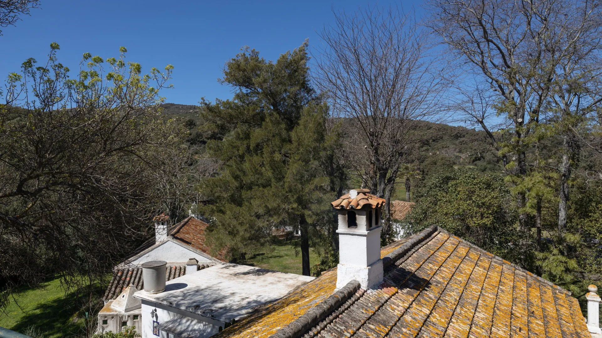 Finca for sale in Jimena de La Frontera