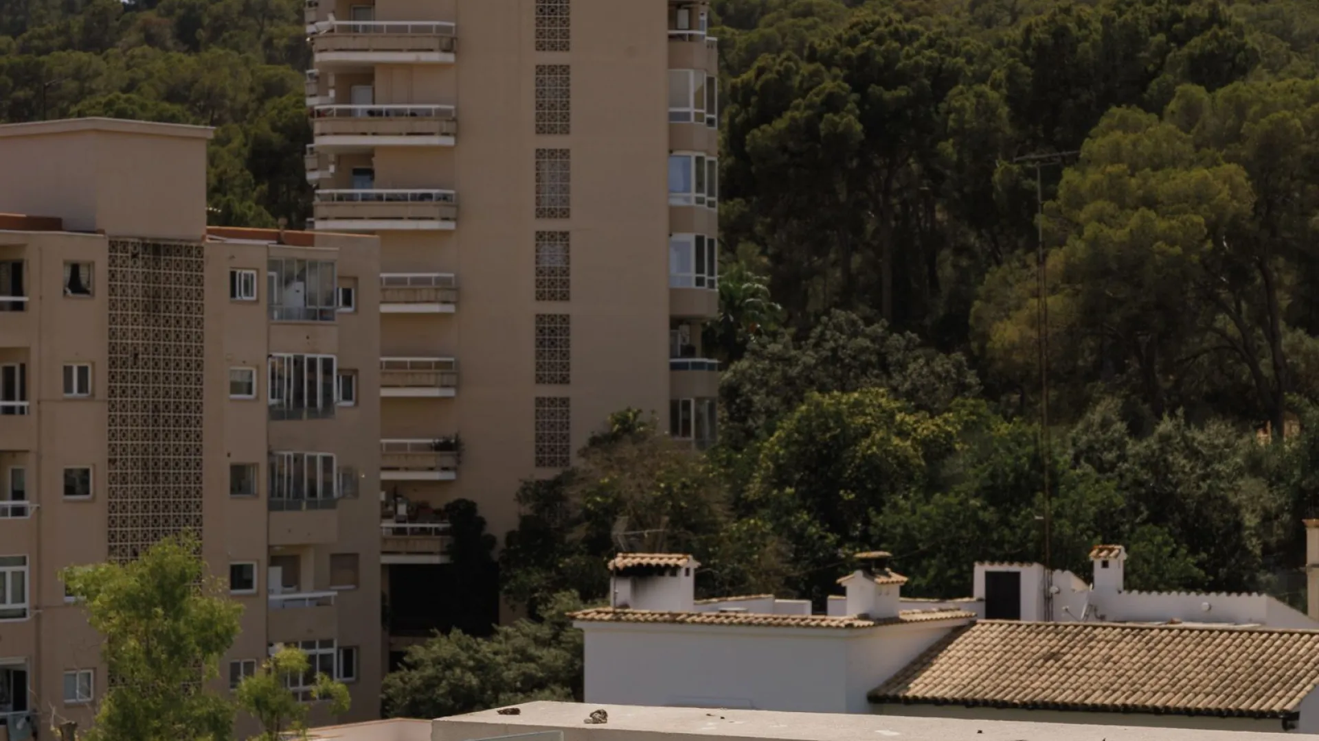 3 bedrooms penthouse for sale in Son Armadams