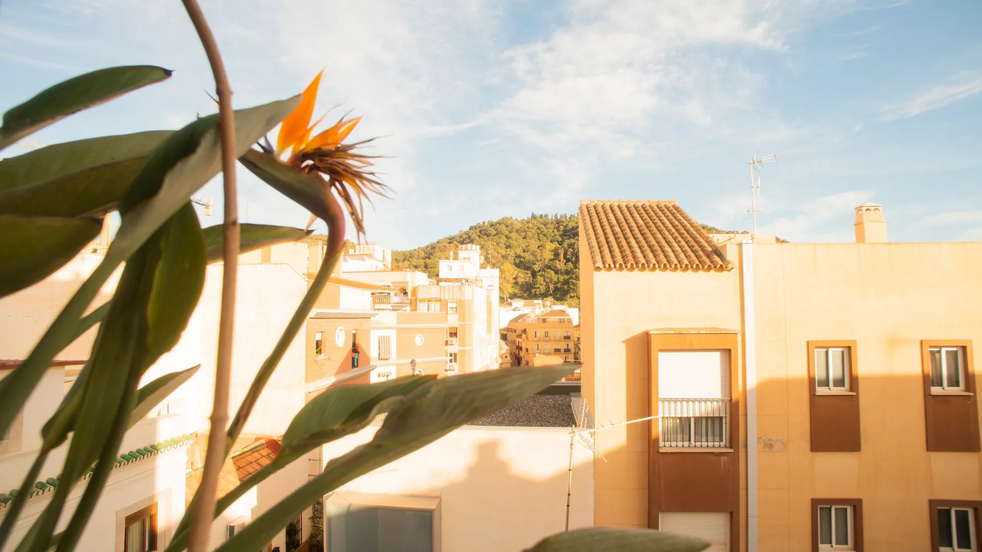 Buy unique building in Malaga with 4 bedrooms