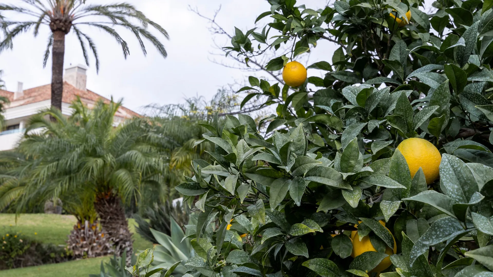 Los Monteros, Ático con 3 dormitorios en venta