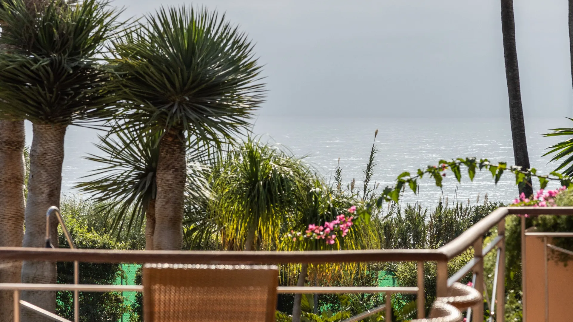 Buy villa in Estepona East