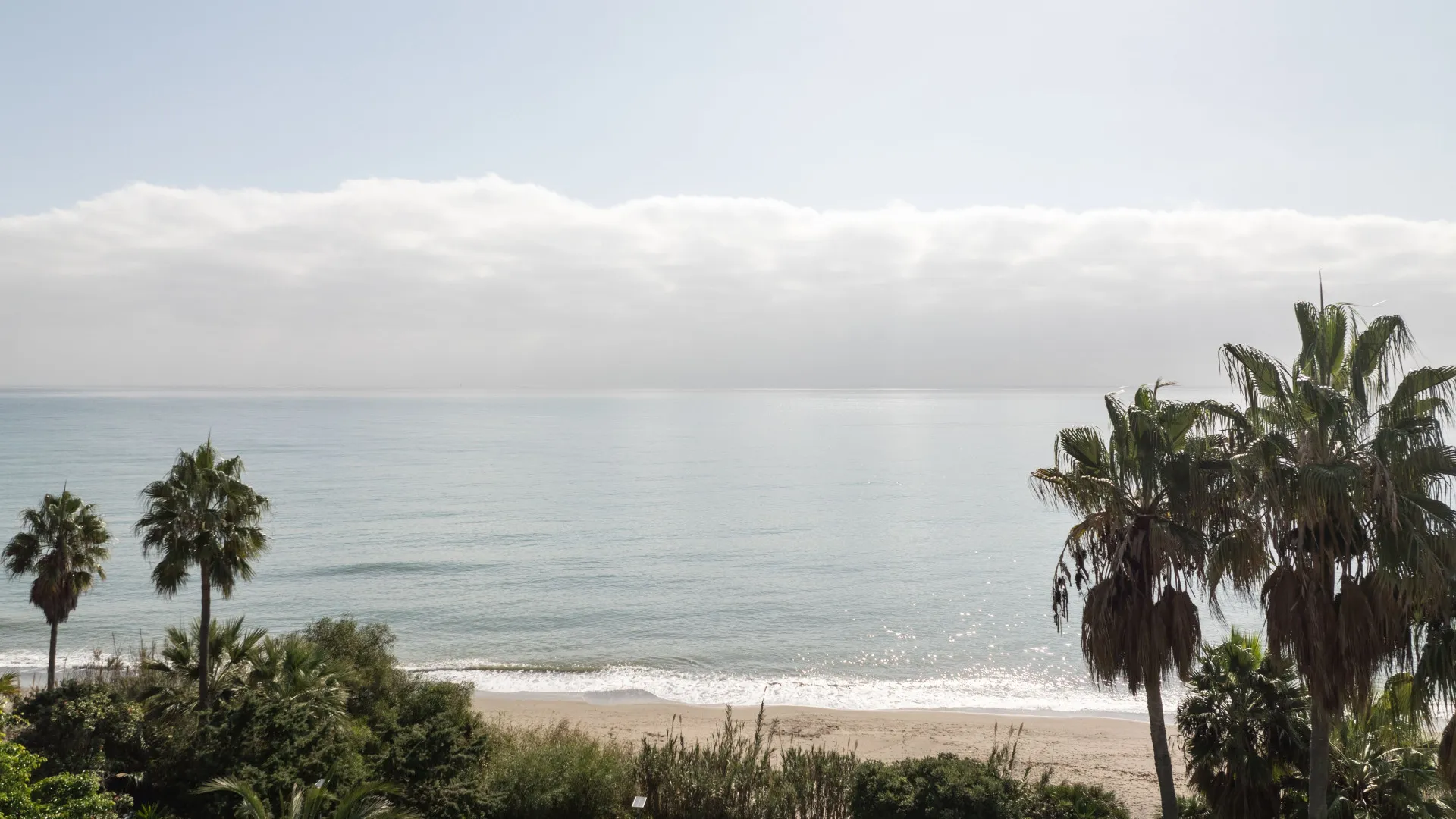 Buy villa in Estepona East