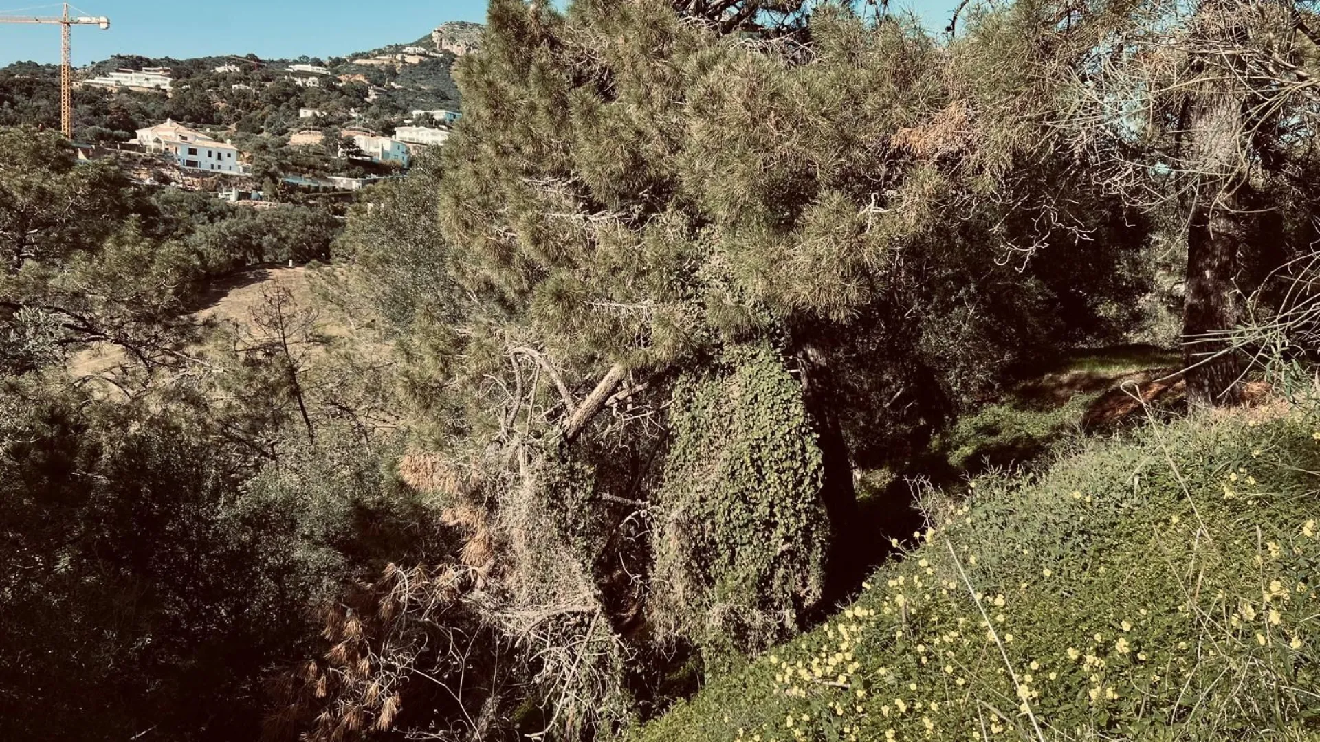 For sale plot in Marbella Club Golf Resort