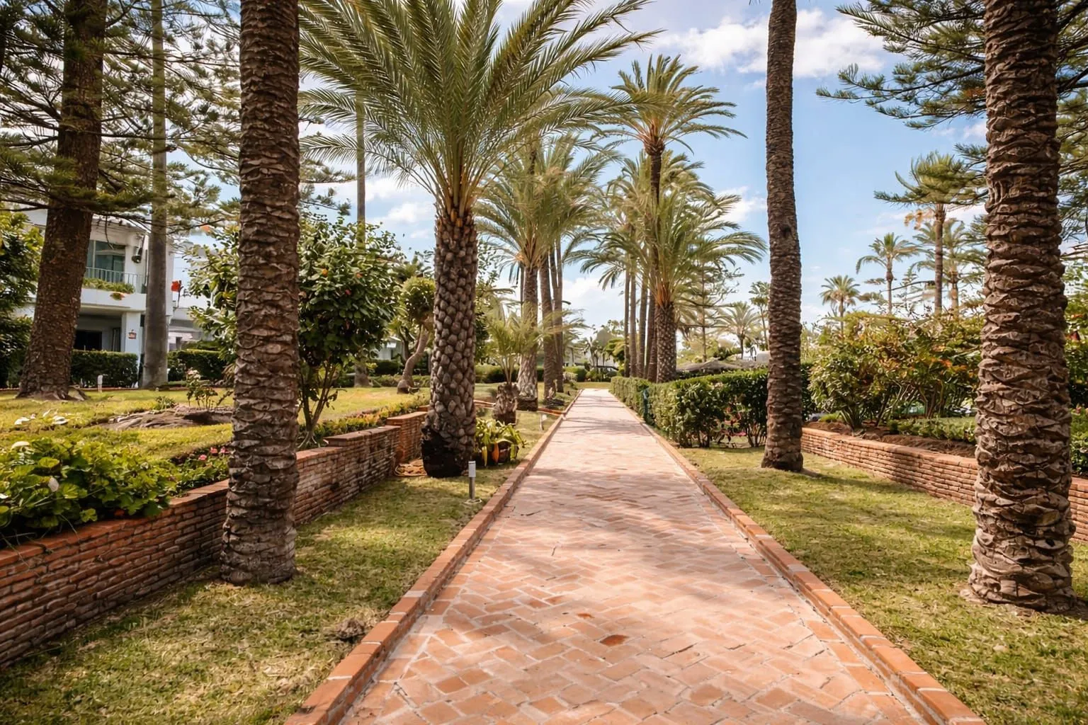 Ground floor apartment for sale in San Pedro Playa