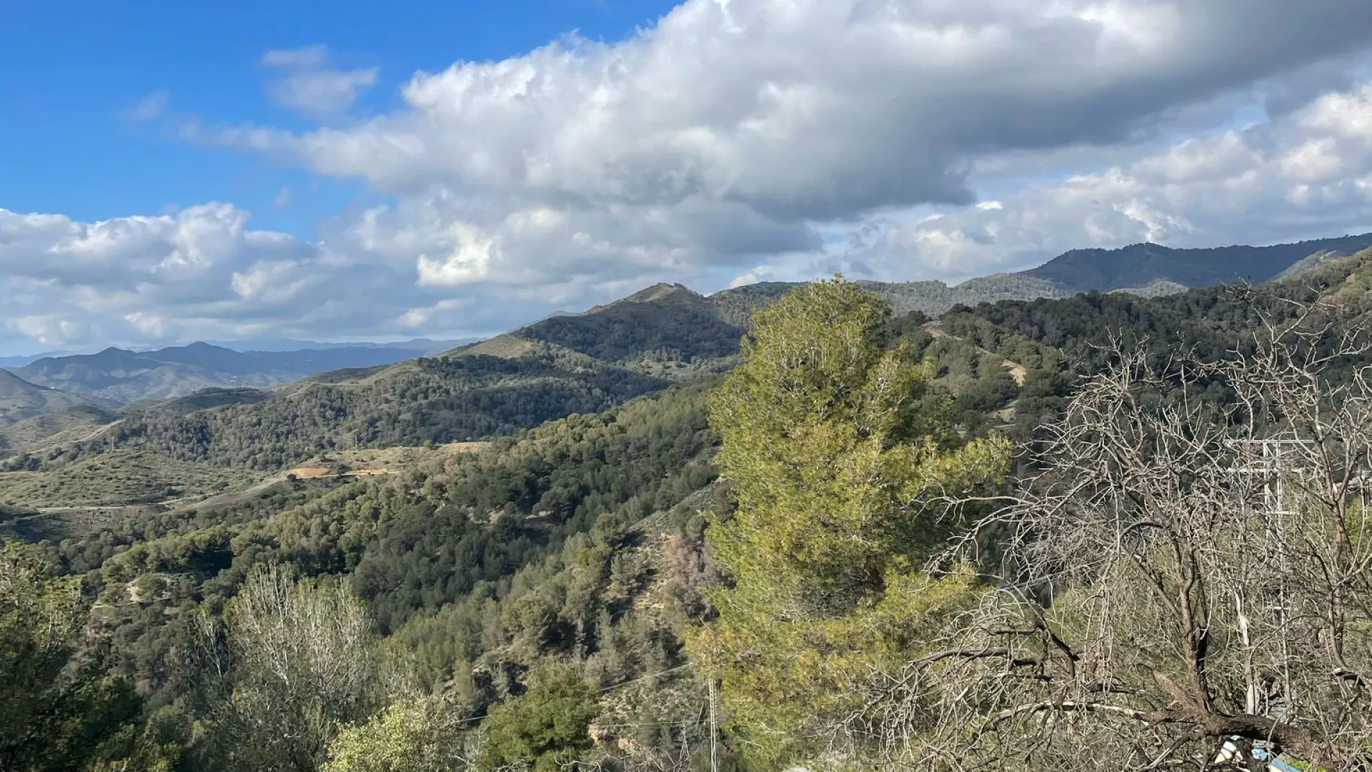 Restaurant for sale in Malaga - Ciudad Jardín