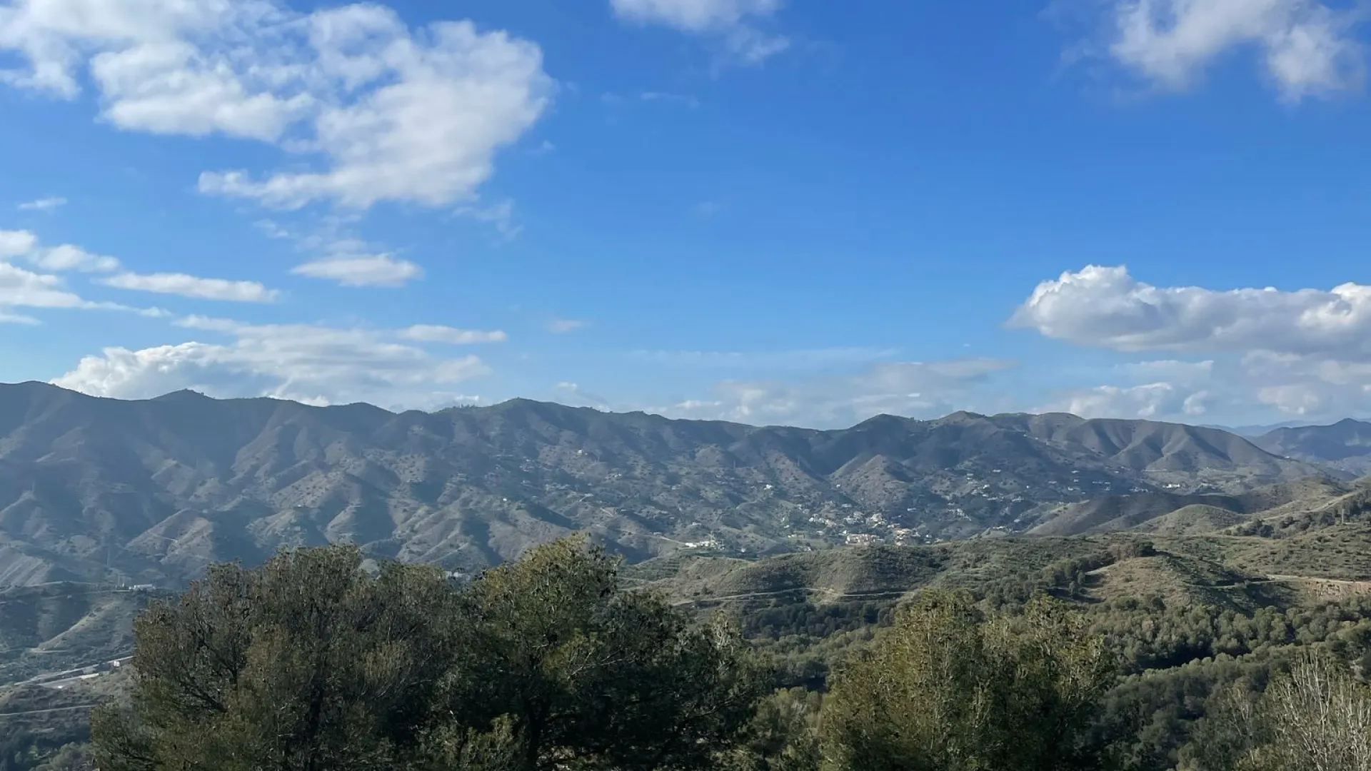 Restaurant for sale in Malaga - Ciudad Jardín