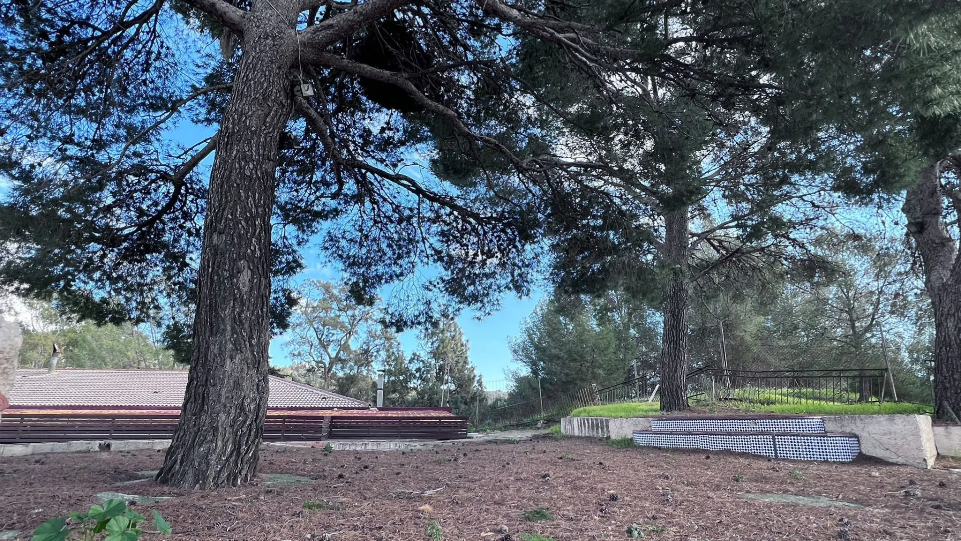 Restaurant for sale in Malaga - Ciudad Jardín