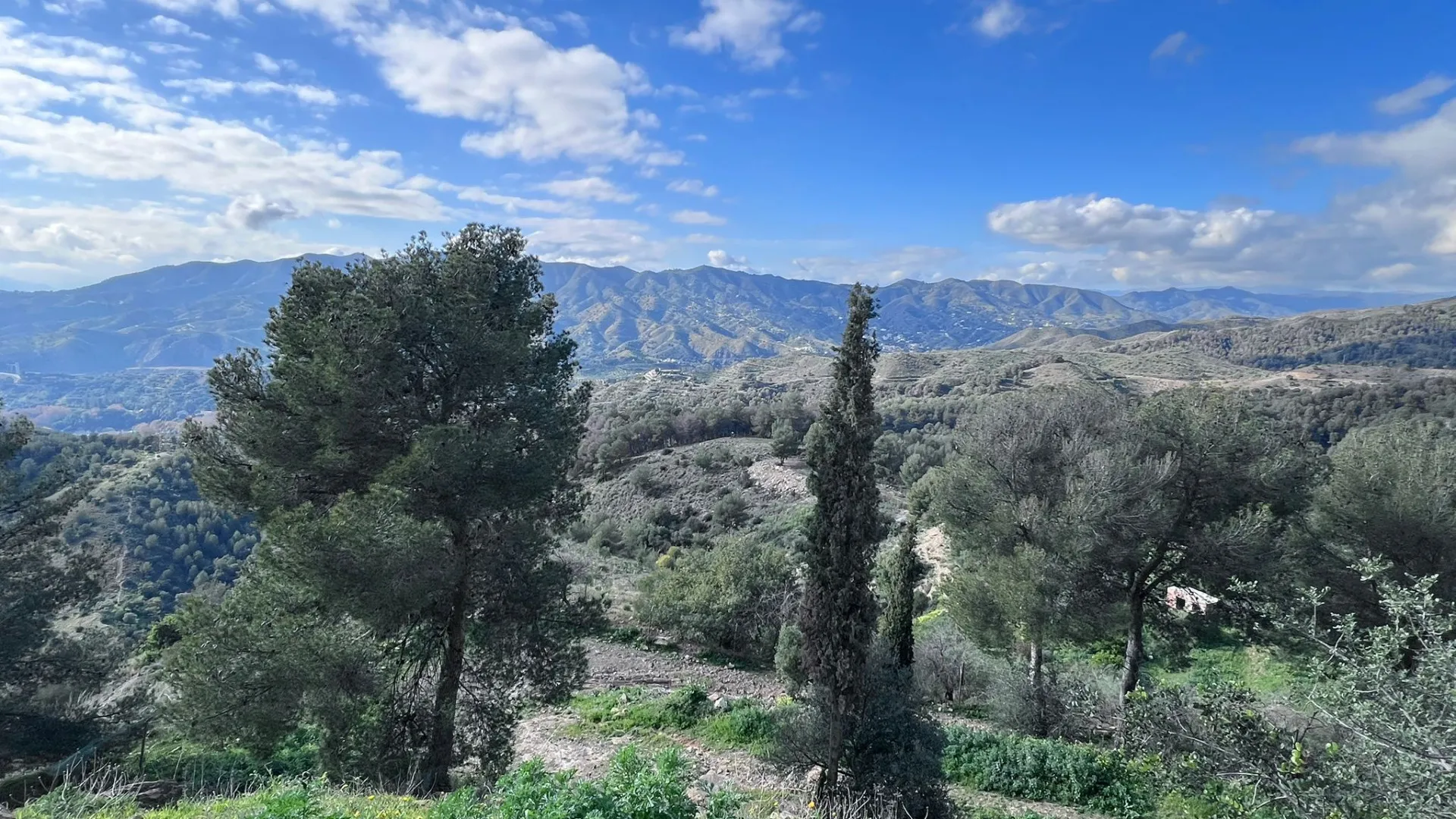 Restaurant for sale in Malaga - Ciudad Jardín