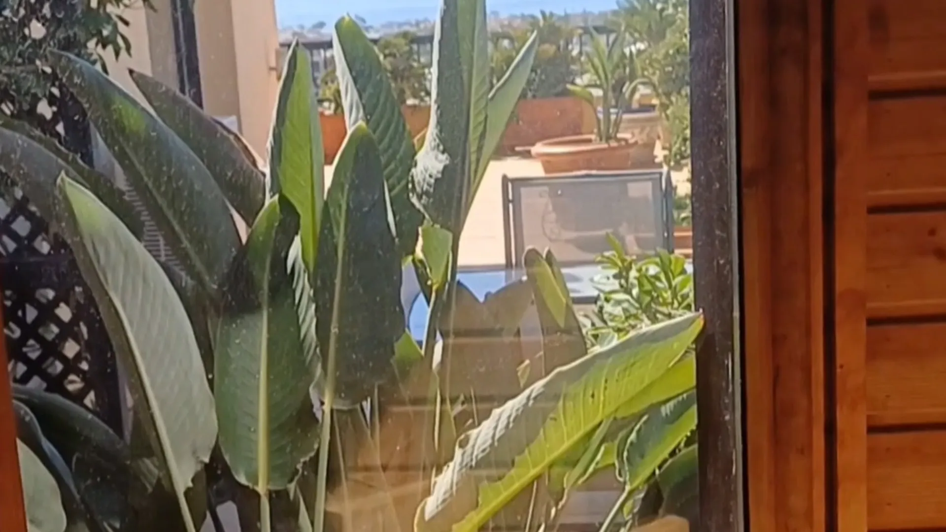 For sale Linda Vista Baja 4 bedrooms penthouse