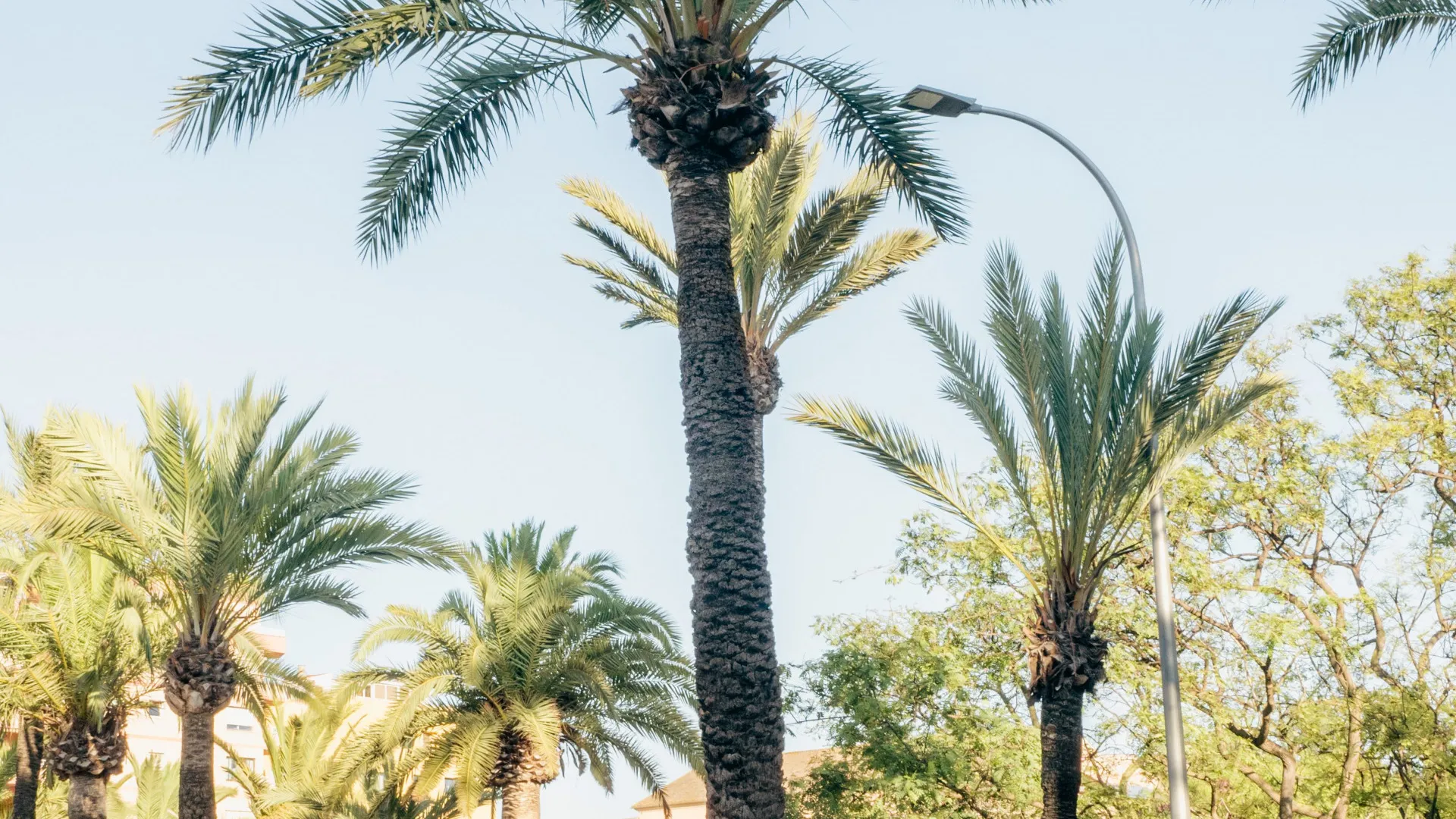 Comprar adosado en Son Espanyolet con 5 dormitorios