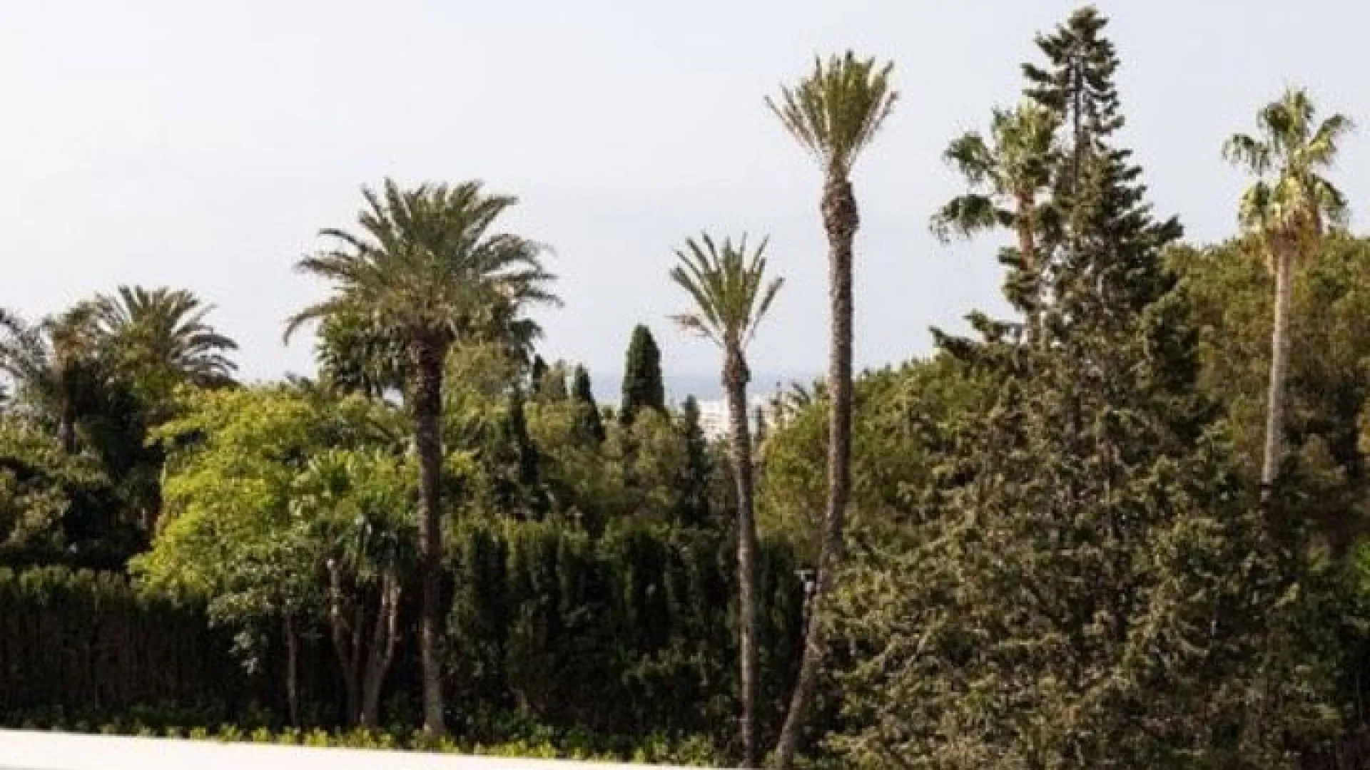 4 bedrooms Marbella - Puerto Banus town house for sale