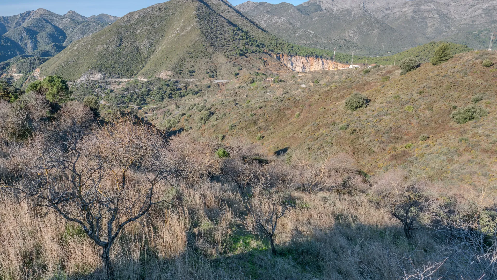 For sale plot in Ojen