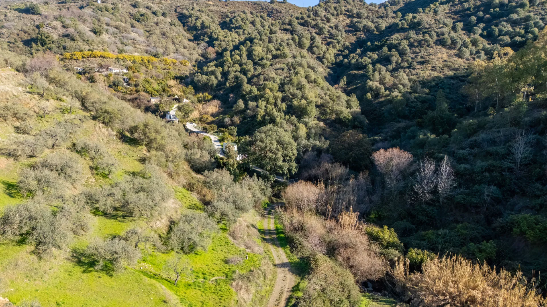 For sale plot in Ojen