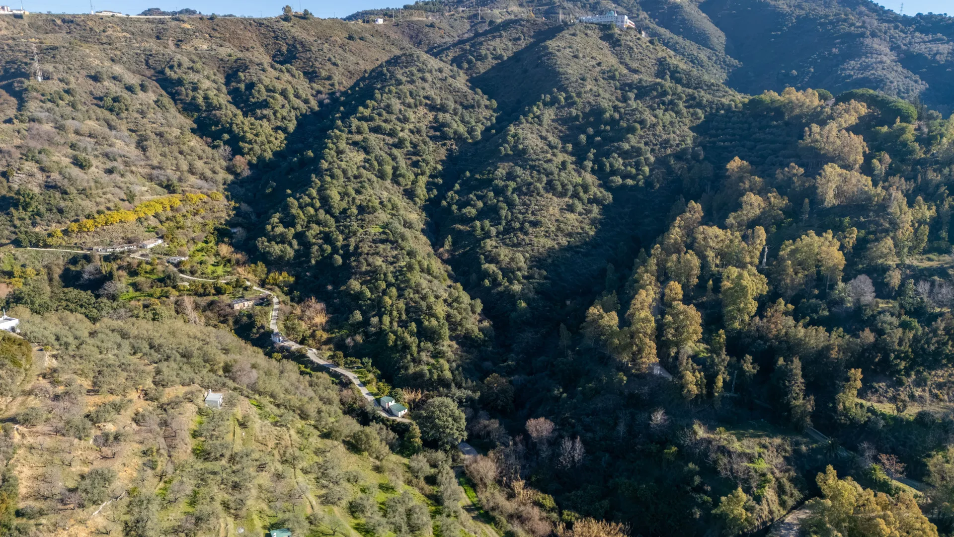 For sale plot in Ojen