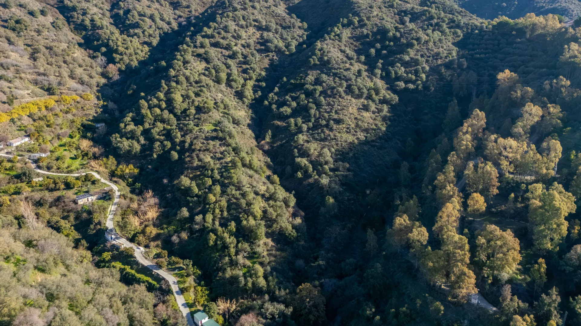 For sale plot in Ojen