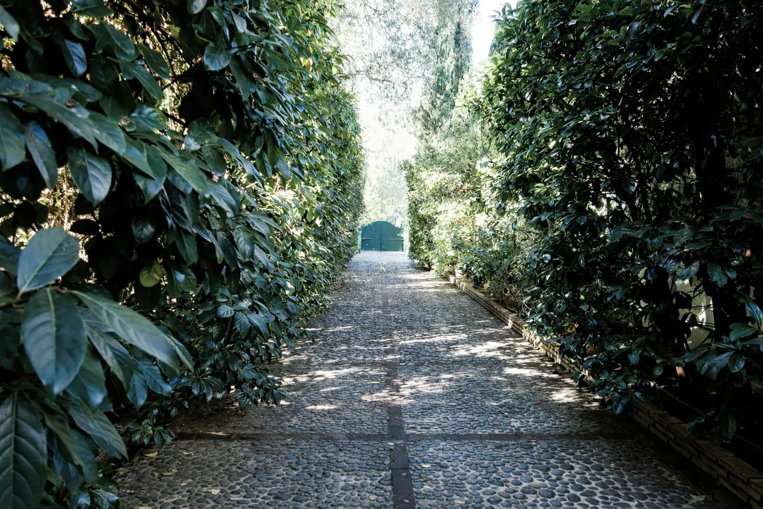 For sale Sotogrande Costa Central 5 bedrooms villa