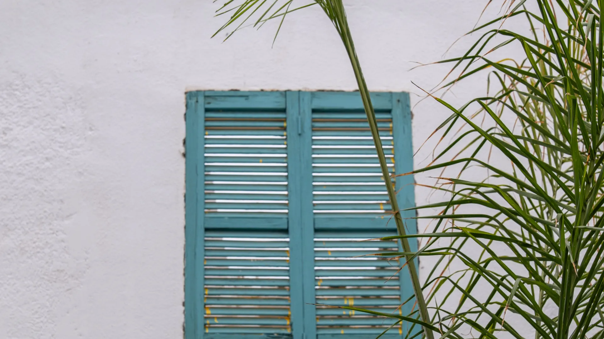 Adosado en venta con 3 dormitorios en Santa Catalina