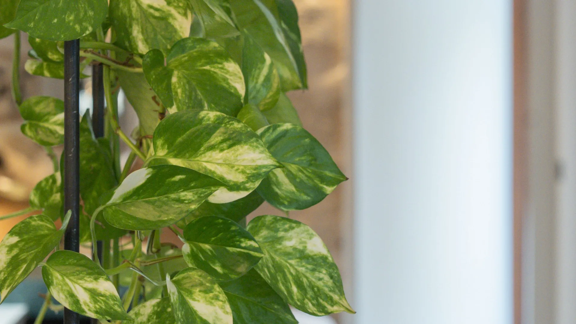 Adosado en venta con 3 dormitorios en Santa Catalina