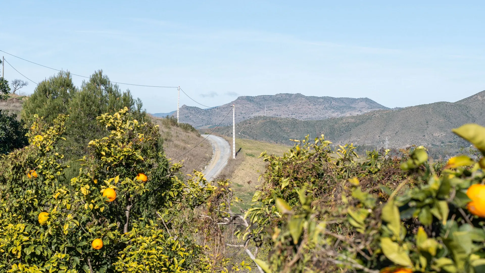 Cartama 2 bedrooms finca for sale