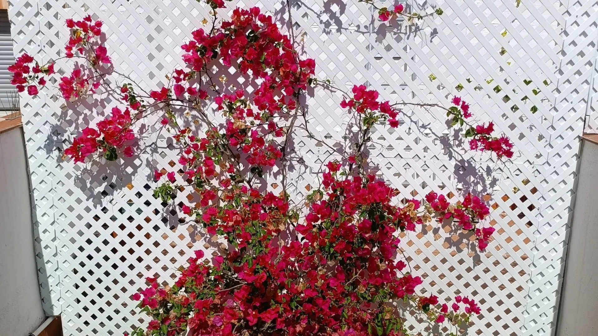 Buy unique building in Malaga