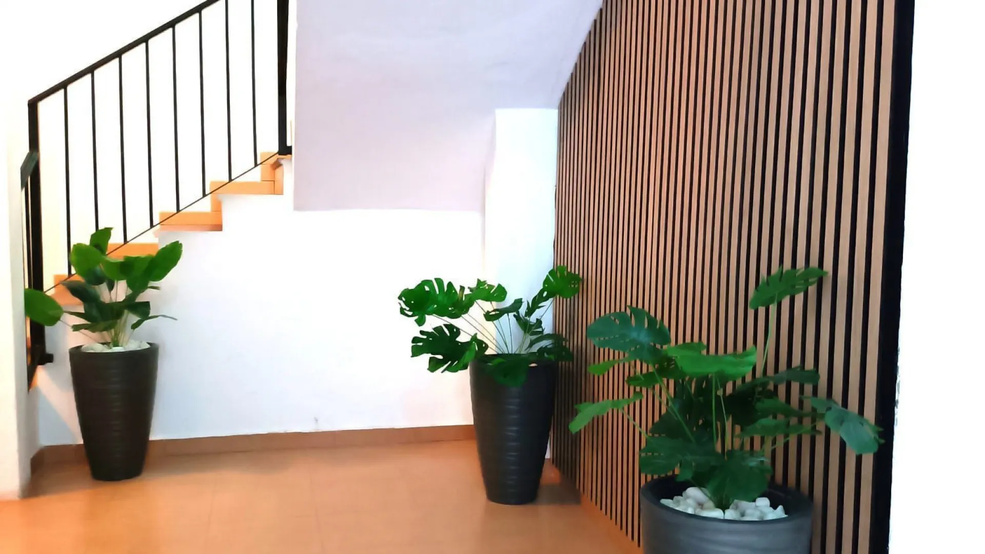 Buy unique building in Malaga