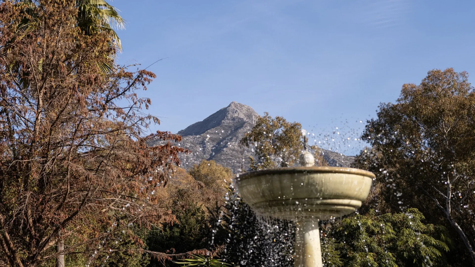 Ático en venta con 1 dormitorio en Nueva Andalucia