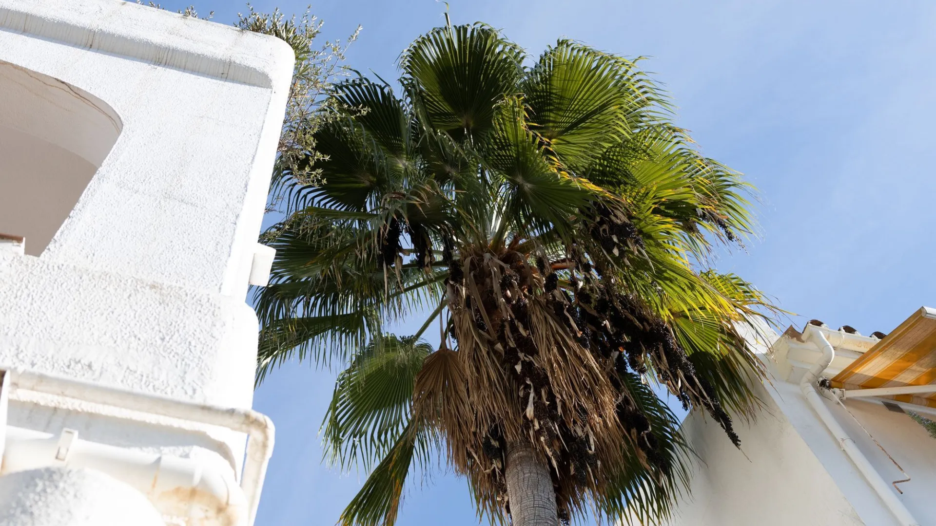 Ático en venta con 1 dormitorio en Nueva Andalucia