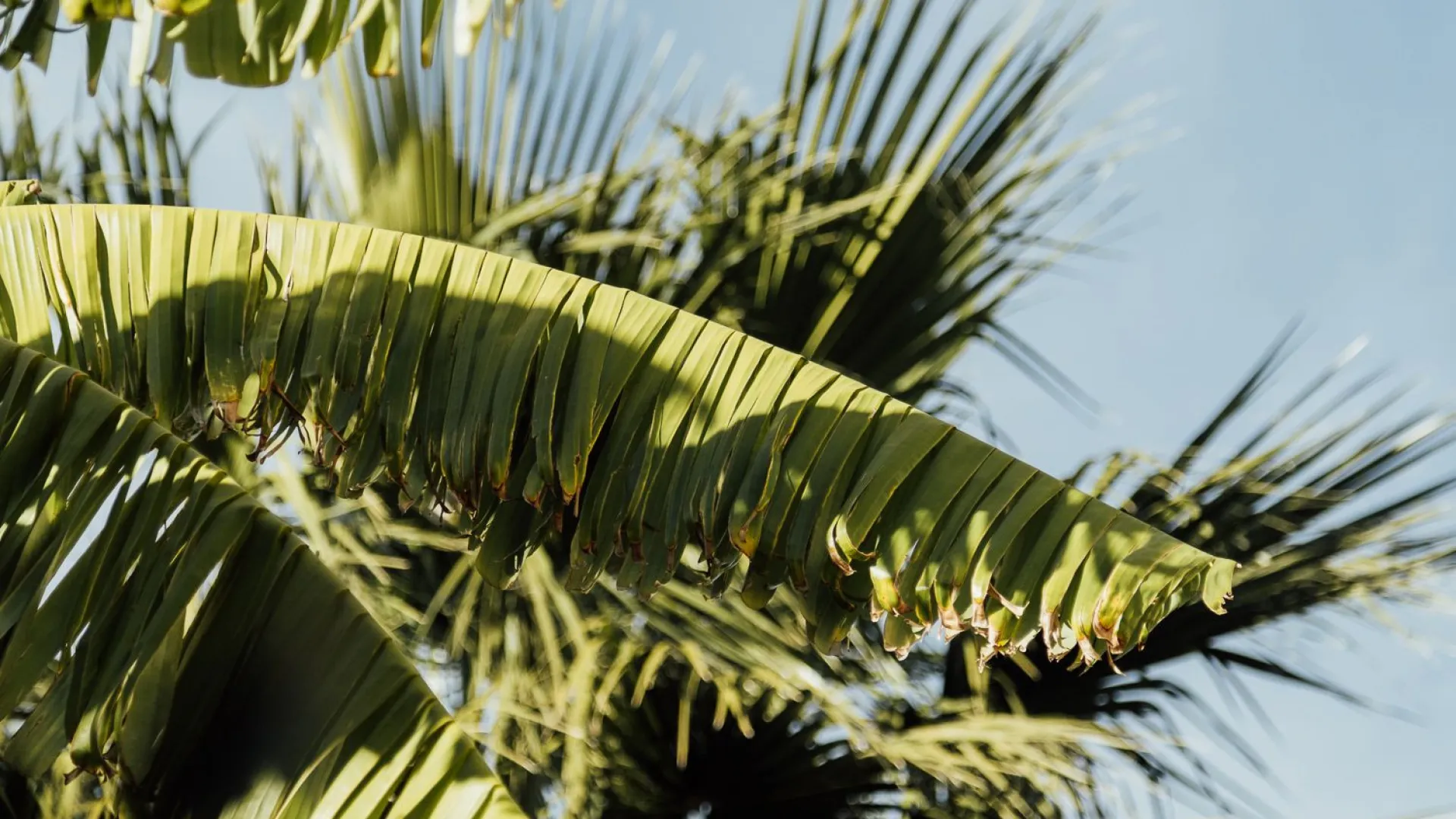 For sale plot in Banyalbufar