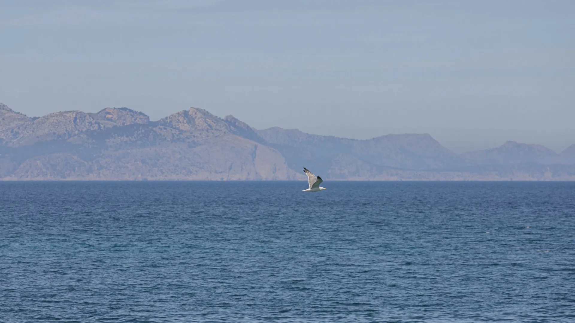 For sale plot in Banyalbufar