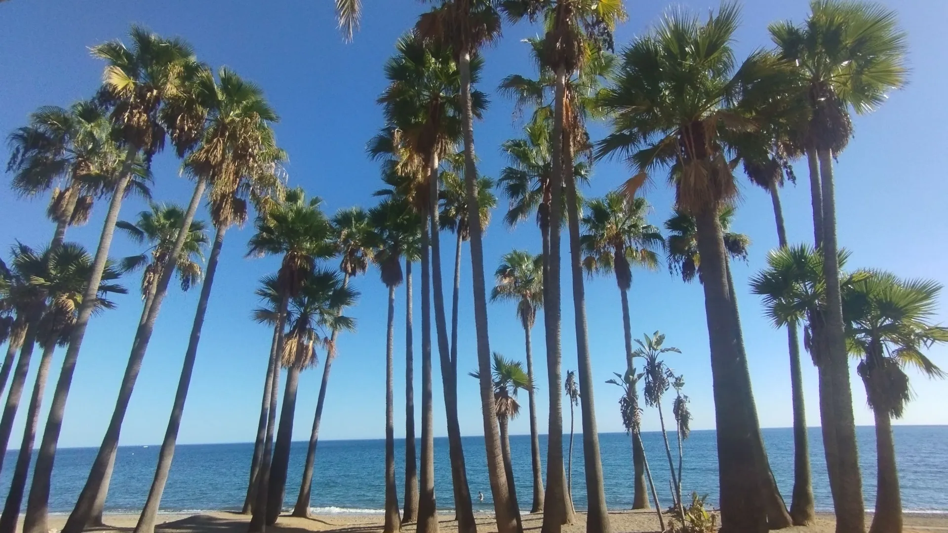 Buy 3 bedrooms duplex penthouse in San Pedro Playa