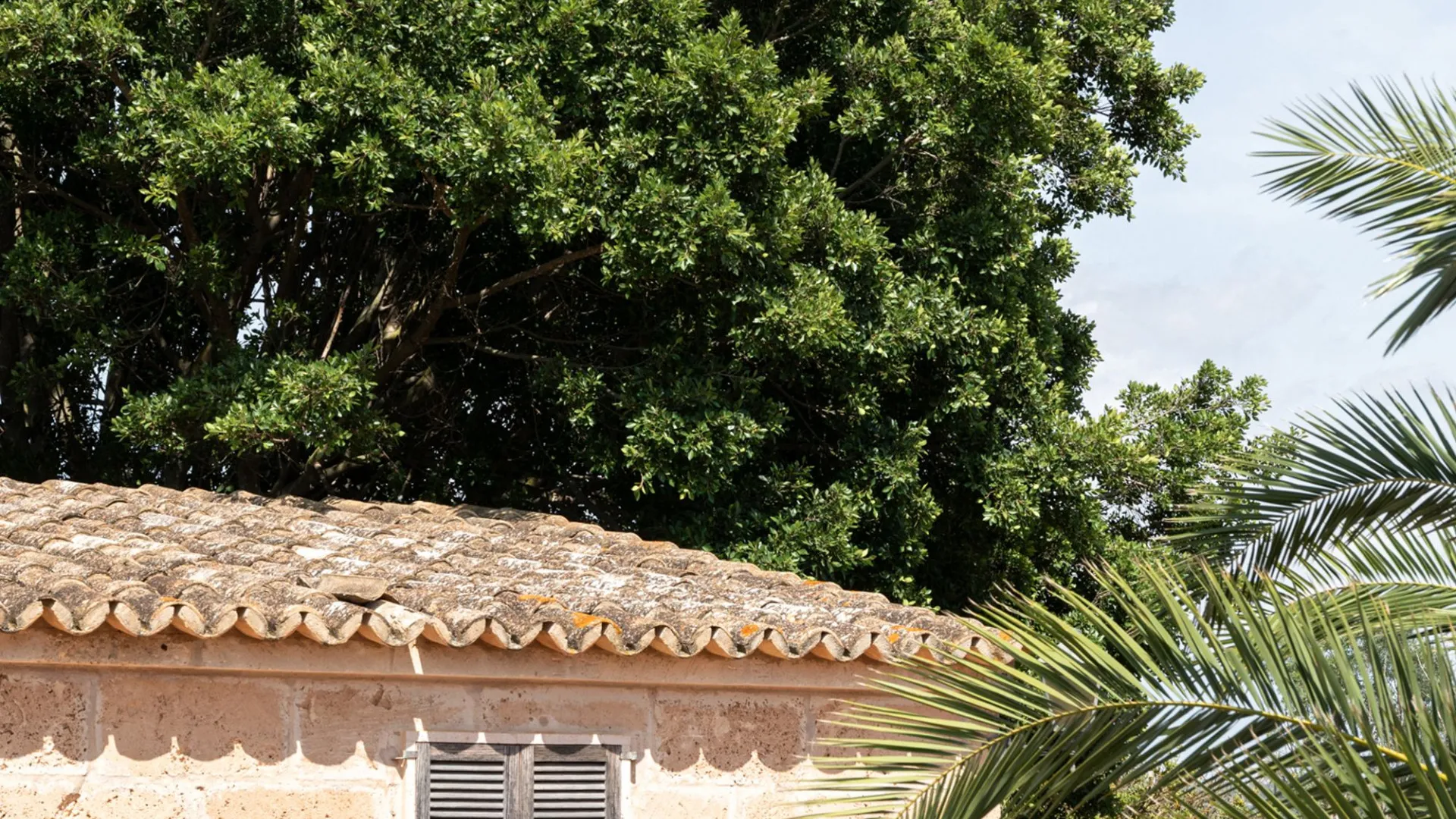 Palma de Mallorca 11 bedrooms country house for sale