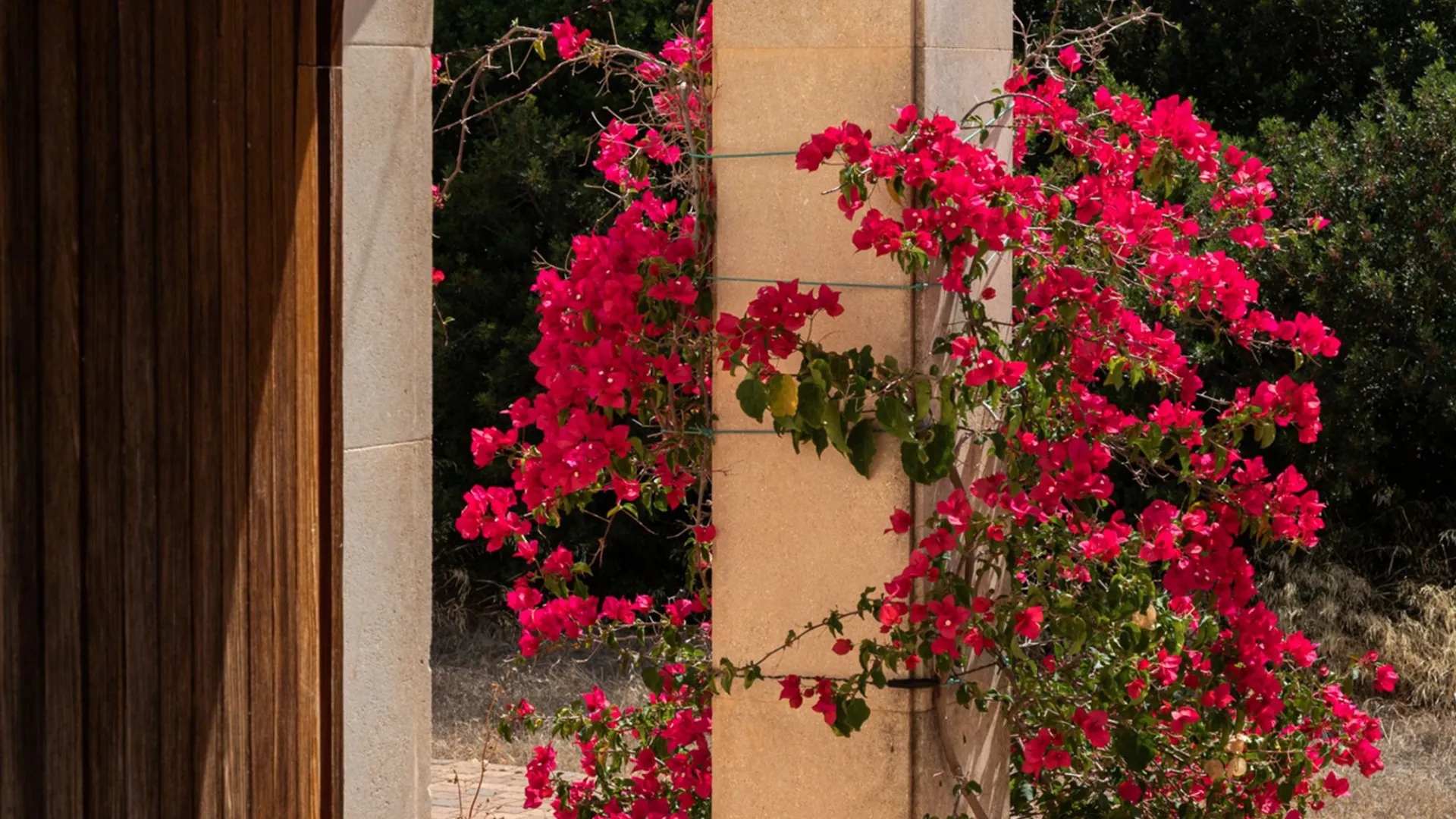 Palma de Mallorca 11 bedrooms country house for sale